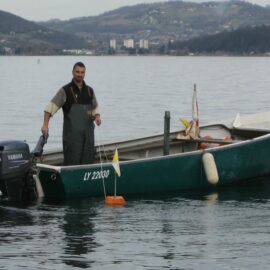 Reprise de la pêche sur le lac du Bourget et des permanences de vente aux particuliers